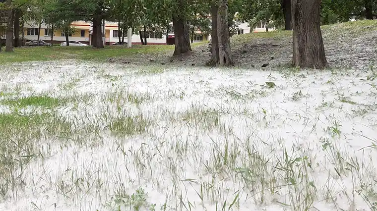 В Нижнекамске из-за подожженного тополиного пуха едва не сгорела машина