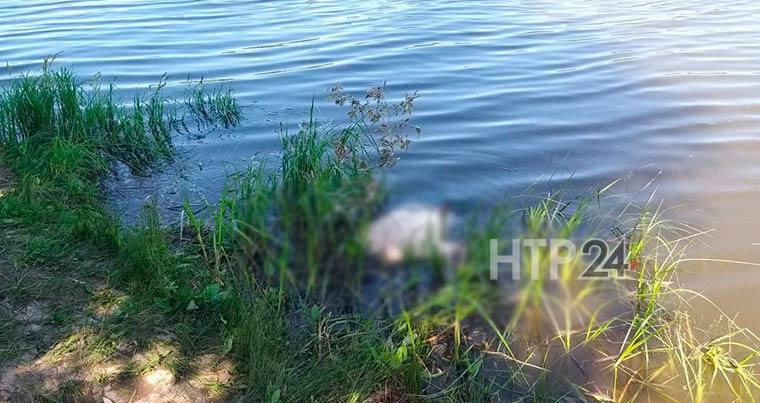 На реке Зай около Нижнекамска утонул 49-летний рыбак из Бугульмы