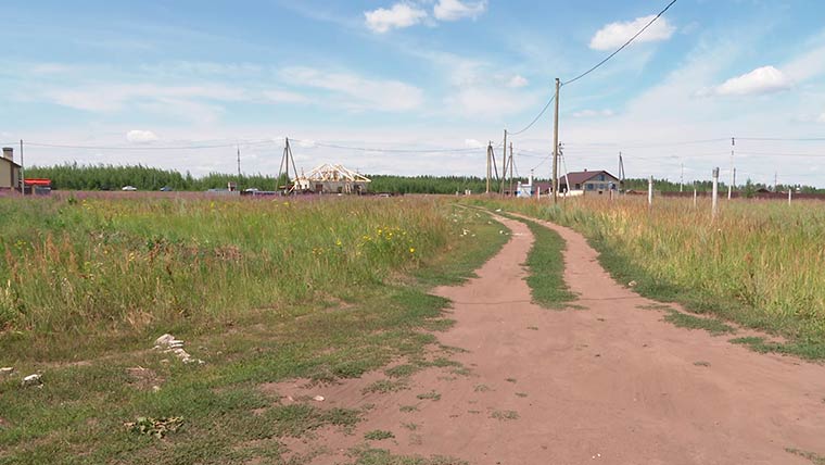 В селе под Нижнекамском лисы доедают кошачью еду и охотятся на сусликов