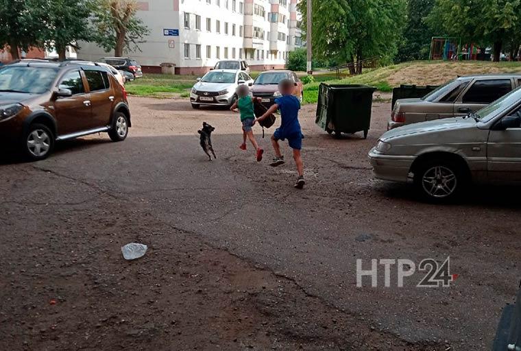 В Нижнекамске подростки украли автомагнитолу из машины, их успели сфотографировать