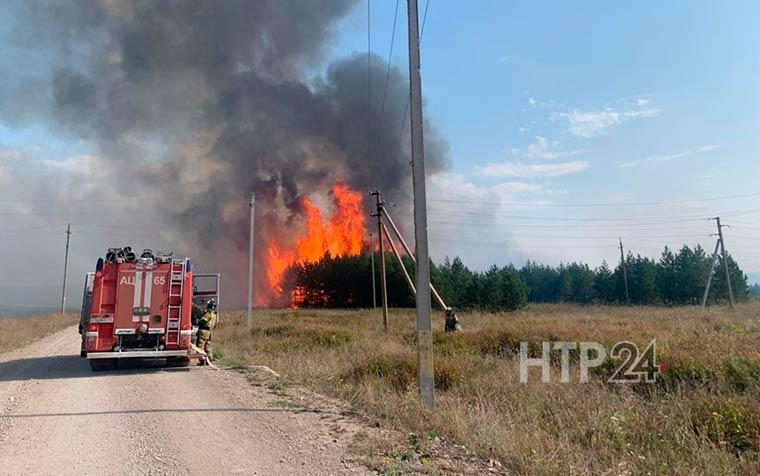 В Татарстане на площади 5,5 тыс. кв. м загорелся лес, пожар тушили 2,5 часа