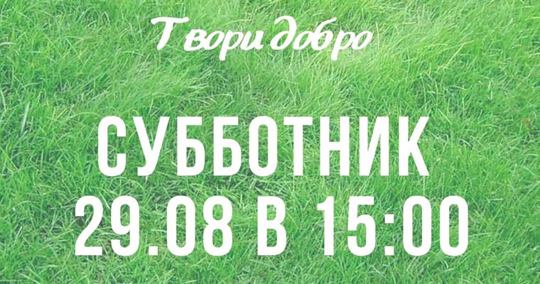 Жители Нижнекамска объявили о субботнике по очистке леса