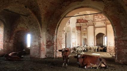 В Татарстане в архитектурных памятниках устроили склады зерна, сельхозтехники и коровники