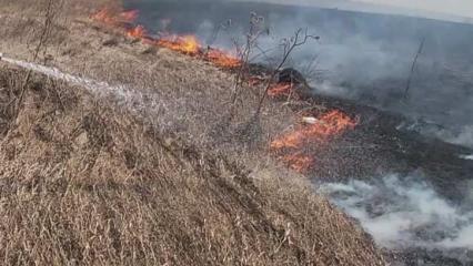 В Лаишевском районе Татарстана сгорел 1 гектар травы