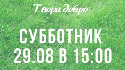 Жители Нижнекамска объявили о субботнике по очистке леса