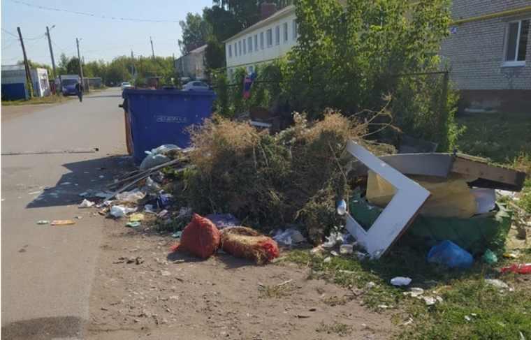 Жители Нижнекамского района все лето живут рядом со свалкой