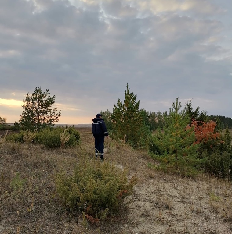 Поиски пропавшего