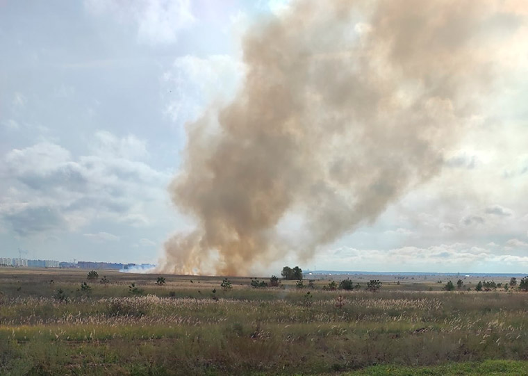 В Нижнекамске сгорела трава на поле рядом с Корабельной рощей