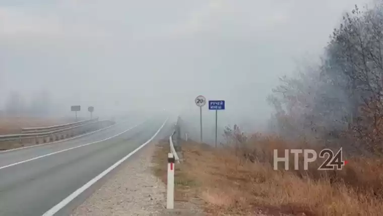 В Нижнекамском районе недалеко от Старошешминска загорелась трава