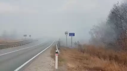 В Нижнекамском районе недалеко от Старошешминска загорелась трава