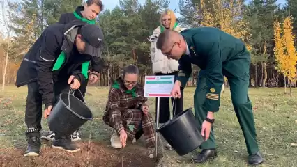 В Нижнекамске посадили саженец, который является прямым потомком дуба посаженного Петром I