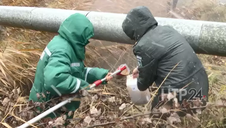 Оборудование для сбора проб