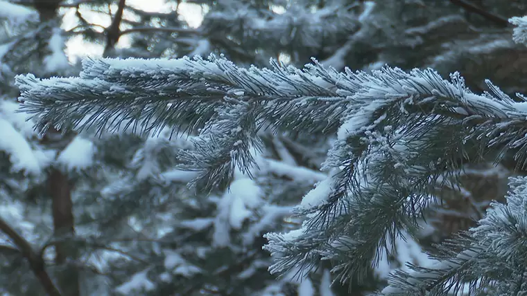 На территории Татарстана ожидается небольшое потепление