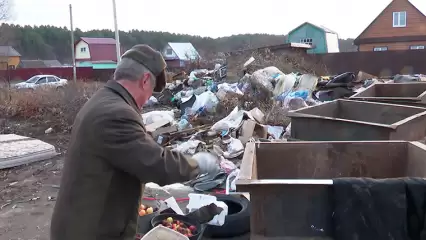 Нижнекамским дачникам рассказали, когда уберут свалку около Ильинки