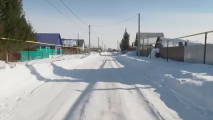 Под Нижнекамском снят карантин по бешенству