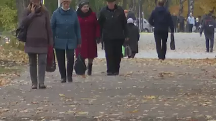 Нижнекамцы и жители района жалуются на плохое самочувствие из-за едкого запаха гари