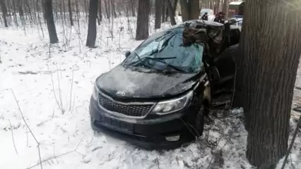 В Татарстане женщина на иномарке влетела в дерево и погибла