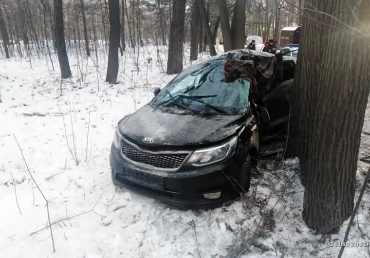 В Татарстане женщина на иномарке влетела в дерево и погибла