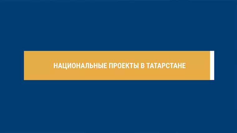 В минэкономики Татарстана рассказали, куда были направлены средства по национальным проектам