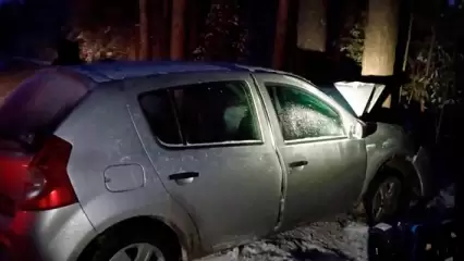 В Татарстане в аварии пострадали водитель и два молодых пассажира