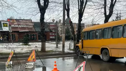 В Нижнекамске начали обрезать деревья