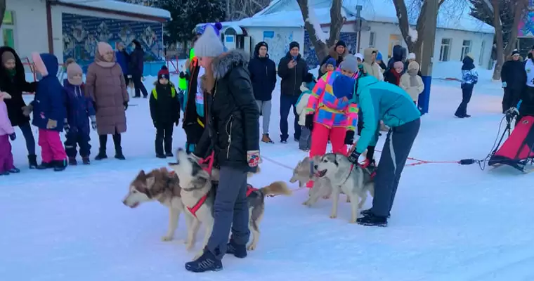 В Нижнекамске прошли гонки на собачьих упряжках