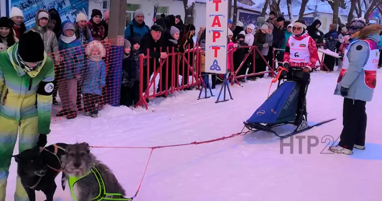 Подготовка спортсменов к борьбе за призовое место