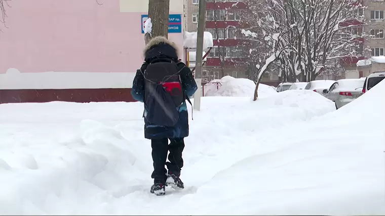 Родители ребенка, которому незнакомец предлагал игрушку в Нижнекамске, не стали писать заявление