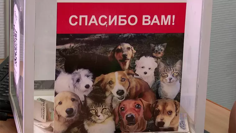 Укравший в Нижнекамске куб для пожертвований подросток признался, куда потратил деньги