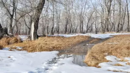 Неделя в Татарстане начнётся с мокрого снега и потепления до +3