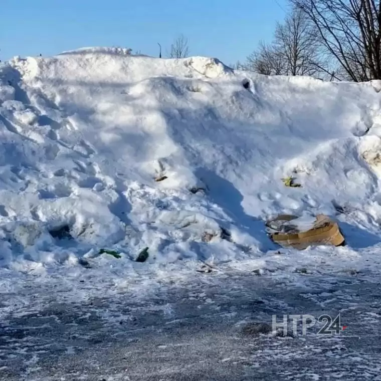 Жителей Нижнекамска призвали любить и беречь природу