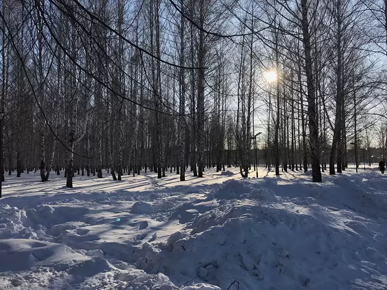 Нижнекамцев приглашают на фотовыставку дикой природы Татарстана