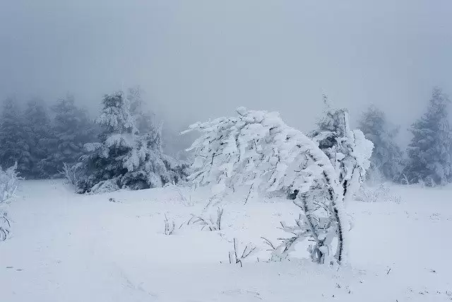 Татарстанцам рассказали, как долго продлится непогода в республике