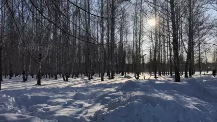 Нижнекамцев приглашают на фотовыставку дикой природы Татарстана