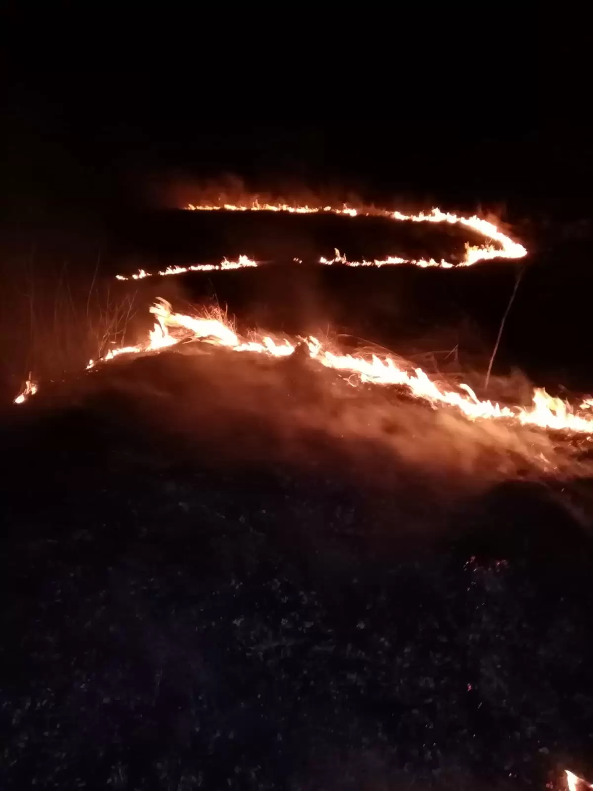 В Нижнекамском районе из-за сухостоя полыхало четыре поля