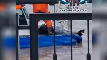 В Казани на видео попало, как из воды доставали тело женщины, возле Кремлевской набережной