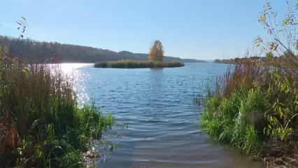 Нижнекамск оказался лидером по проведению рейдов для сохранения водных ресурсов