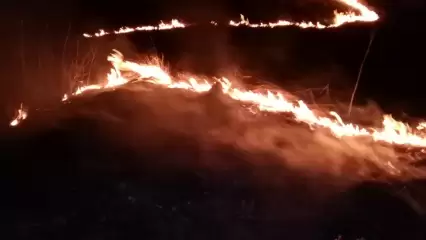 В Нижнекамском районе из-за сухостоя полыхало четыре поля