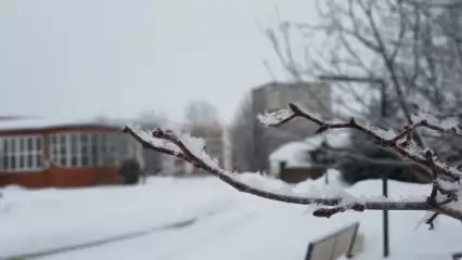 На выходных нижнекамцев ожидает мокрый снег и потепление до +13