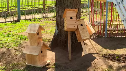 В Нижнекамске дошколята сделали скворечники из экологичных материалов