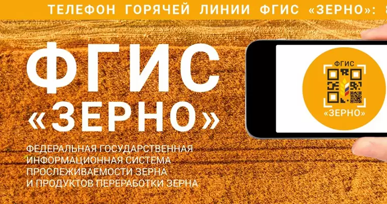 В России начнут следить за качеством зерна через государственную систему