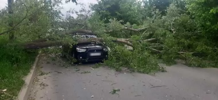 В Татарстане на иномарку упало дерево, водитель оказался в ловушке