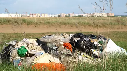 Всемирный фонд дикой природы: человечество исчерпало все ресурсы, которые Земля может воспроизвести за год