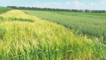 В Нижнекамске пропал мужчина с коричневой сумкой