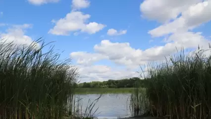 В Казани очевидцы спасли тонущего дедушку