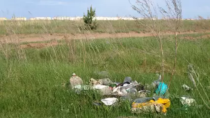 Нижнекамцев приглашают принять участие в экологической акции по раздельному сбору мусора