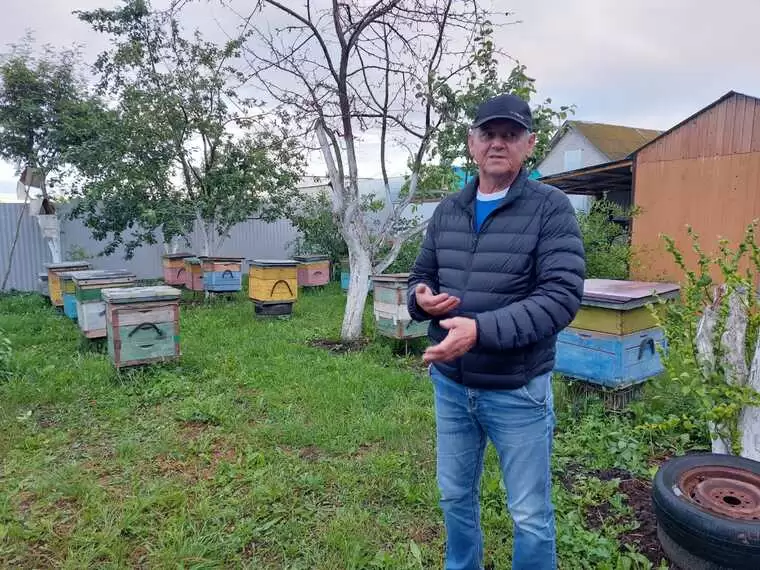 Пасечники села под Нижнекамском бьют тревогу из-за отравы первого класса