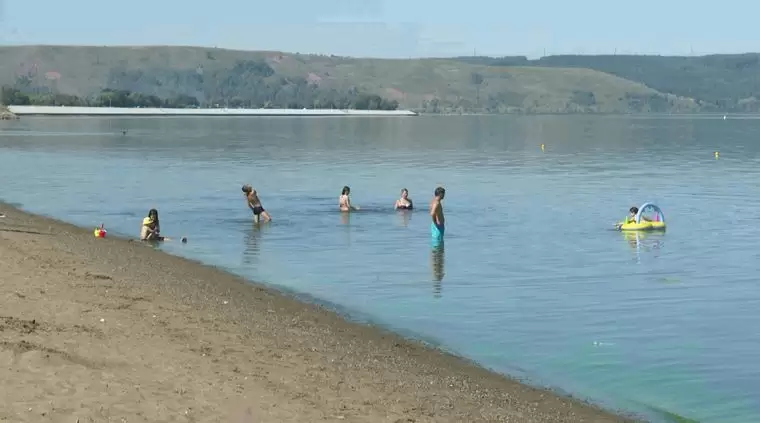 Нижнекамцы купаются в Каме несмотря на цветущую воду