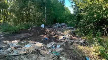 Экологи вынесли предостережение исполкому Челнов из-за незаконной свалки