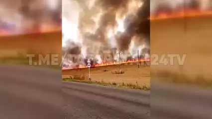 Жители Татарстана засняли на видео полыхающие поля